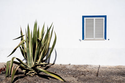 Close-up of white window on wall of house