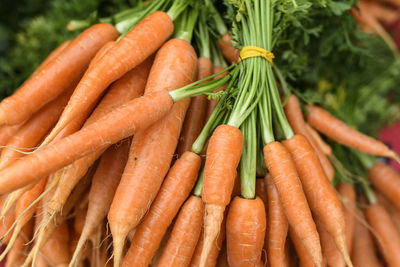 Close-up of carrots