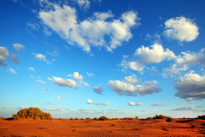 Scenic view of landscape against cloudy sky