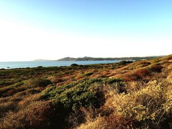 Scenic view of sea against clear sky