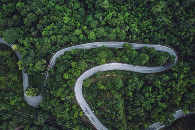 High angle view of road amidst trees in forest