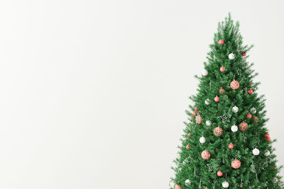 Christmas tree against white background