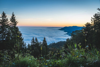 Scenic view of sea against sky during sunset