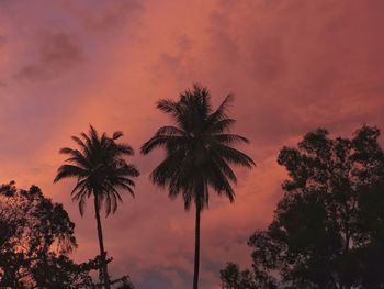 Low angle view of silhouette palm trees against romantic sky