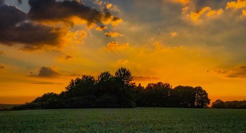 Scenic view of field against sky during sunset