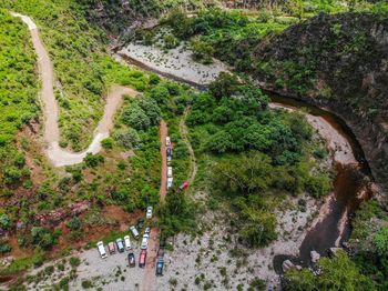 High angle view of road amidst trees