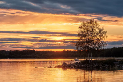 Silhouette tree by lake against sky during sunset