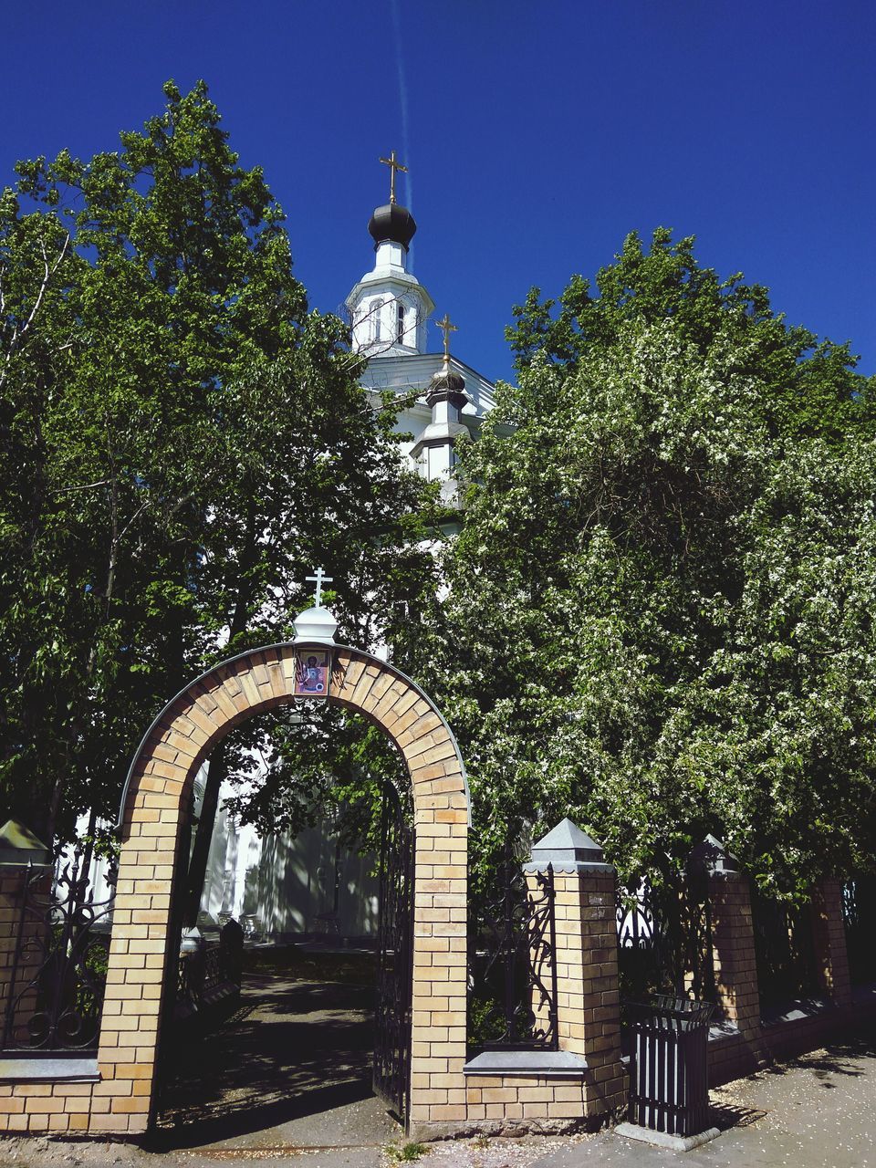 tree, architecture, growth, no people, day, clear sky, outdoors, nature