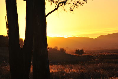 Scenic view of silhouette landscape against sky during sunset