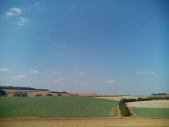 Scenic view of agricultural field against blue sky