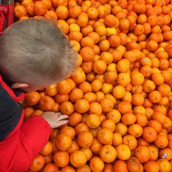 Directly above shot of boy with heap of oranges