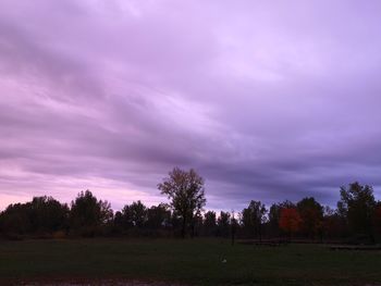 Trees on field against sky during sunset