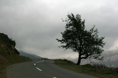 Tree by road against sky