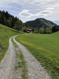 Empty road amidst trees and plants against sky