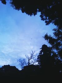 Low angle view of silhouette trees against sky