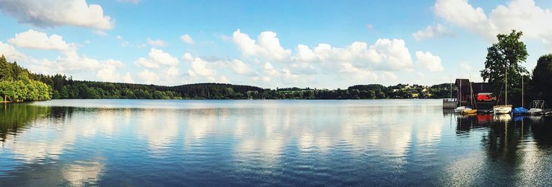 Reflection of trees in calm lake