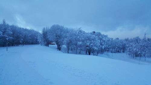 Trees on snow covered field against sky