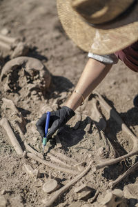 Archaeology. excavating part of an ancient human skeleton with digging tool kit