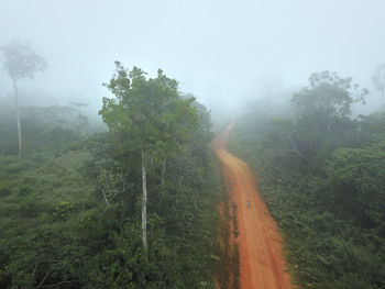 Gabon, mikongo, aerial view of dirt road cutting through misty jungle