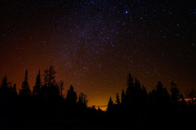 Low angle view of star field against star field