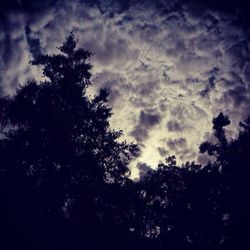 Low angle view of trees against cloudy sky