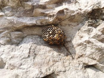 Full frame shot of sand on beach