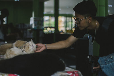 Young man touching cat