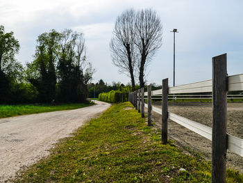 Empty road amidst trees on field against sky