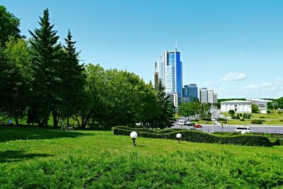 Trees on field against buildings in city