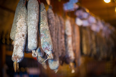Close-up of food for sale