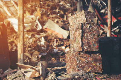 Close-up of rusty stack of logs in forest