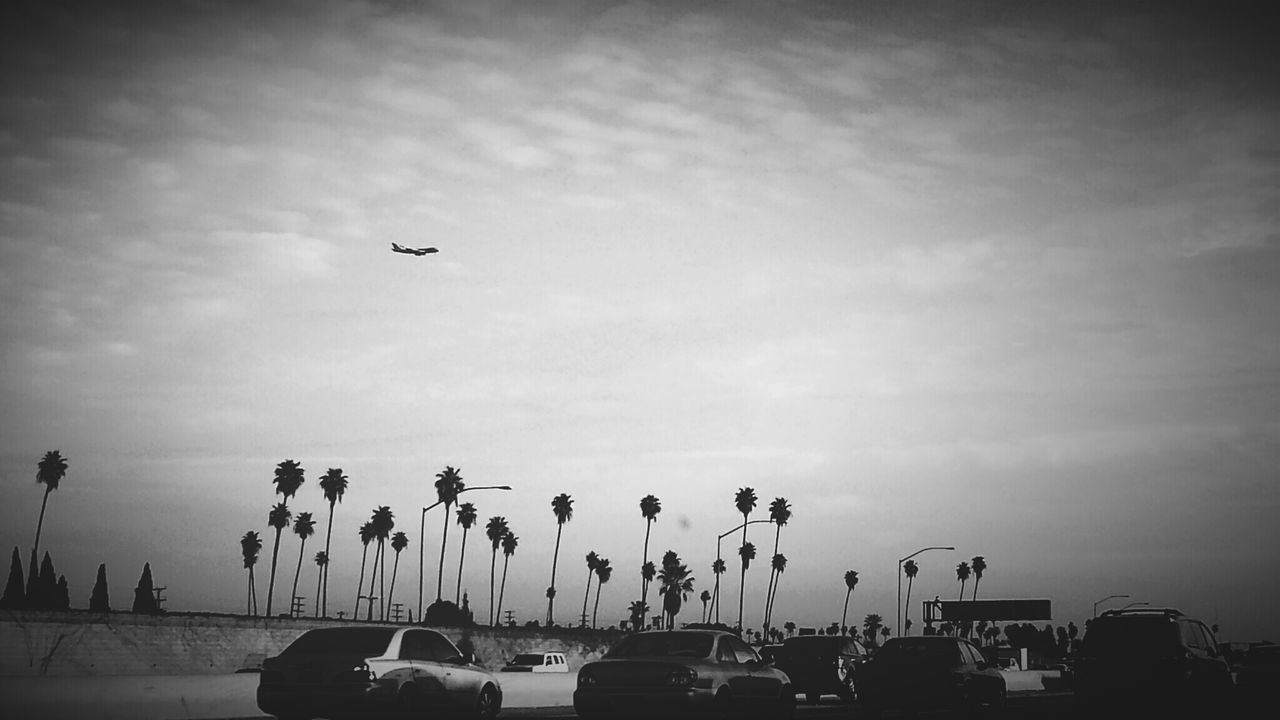 transportation, mode of transport, land vehicle, car, flying, sky, airplane, air vehicle, on the move, cloud - sky, travel, stationary, mid-air, low angle view, outdoors, silhouette, cloudy, street, parking lot, day