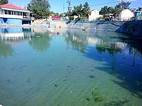 water, architecture, building exterior, built structure, waterfront, reflection, canal, tree, house, residential building, residential structure, city, river, building, day, lake, outdoors, incidental people, swimming pool, nautical vessel