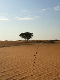 Scenic view of desert against sky