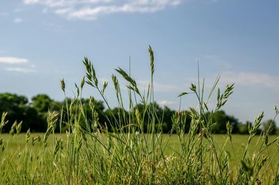 Scenic view of field against cloudy sky