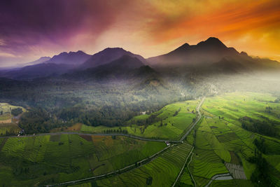 Scenic view of agricultural field against sky during sunset