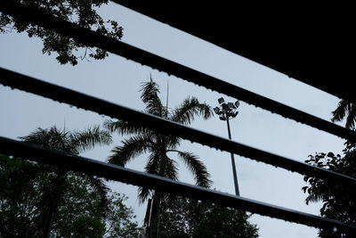 Low angle view of silhouette trees against sky seen through window