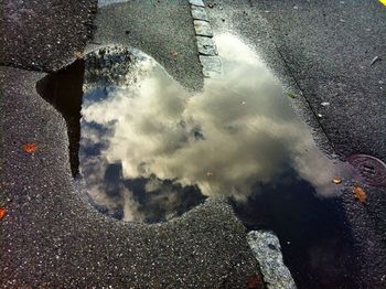 Reflection of trees in puddle