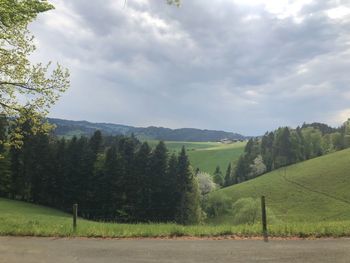 Scenic view of trees on field against sky