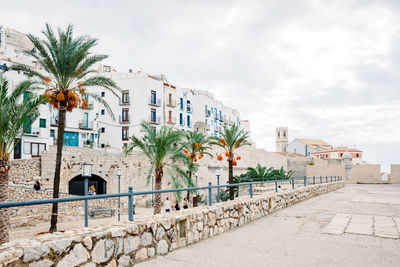 Palm trees and buildings against sky