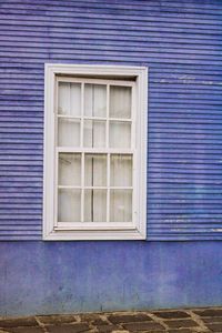 Close-up of purple window