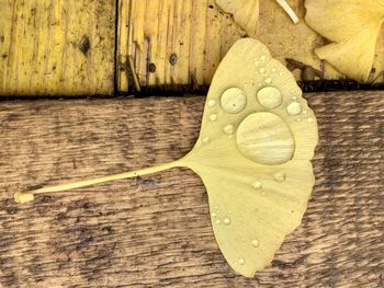 High angle view of bread on table