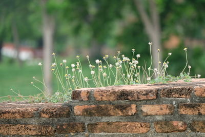 Close-up of retaining wall