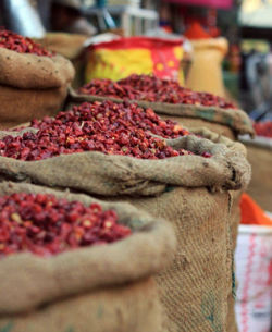 Close-up of red chili peppers