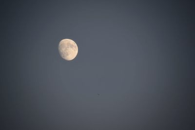 Low angle view of moon against clear sky at night