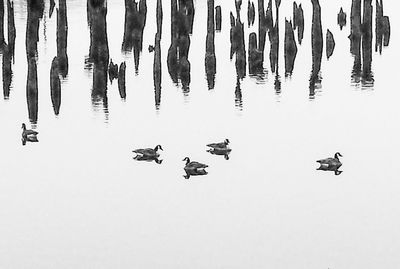 Row of objects on wall