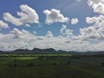 Scenic view of agricultural field against sky