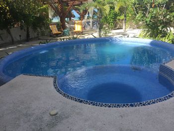 High angle view of swimming pool in yard