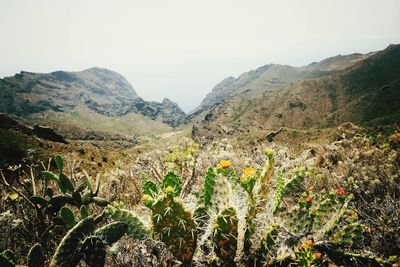 Scenic view of mountains against clear sky