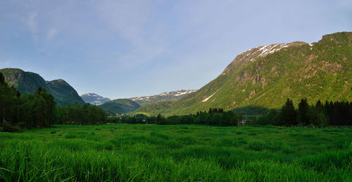 Scenic view of field and mountains against sky